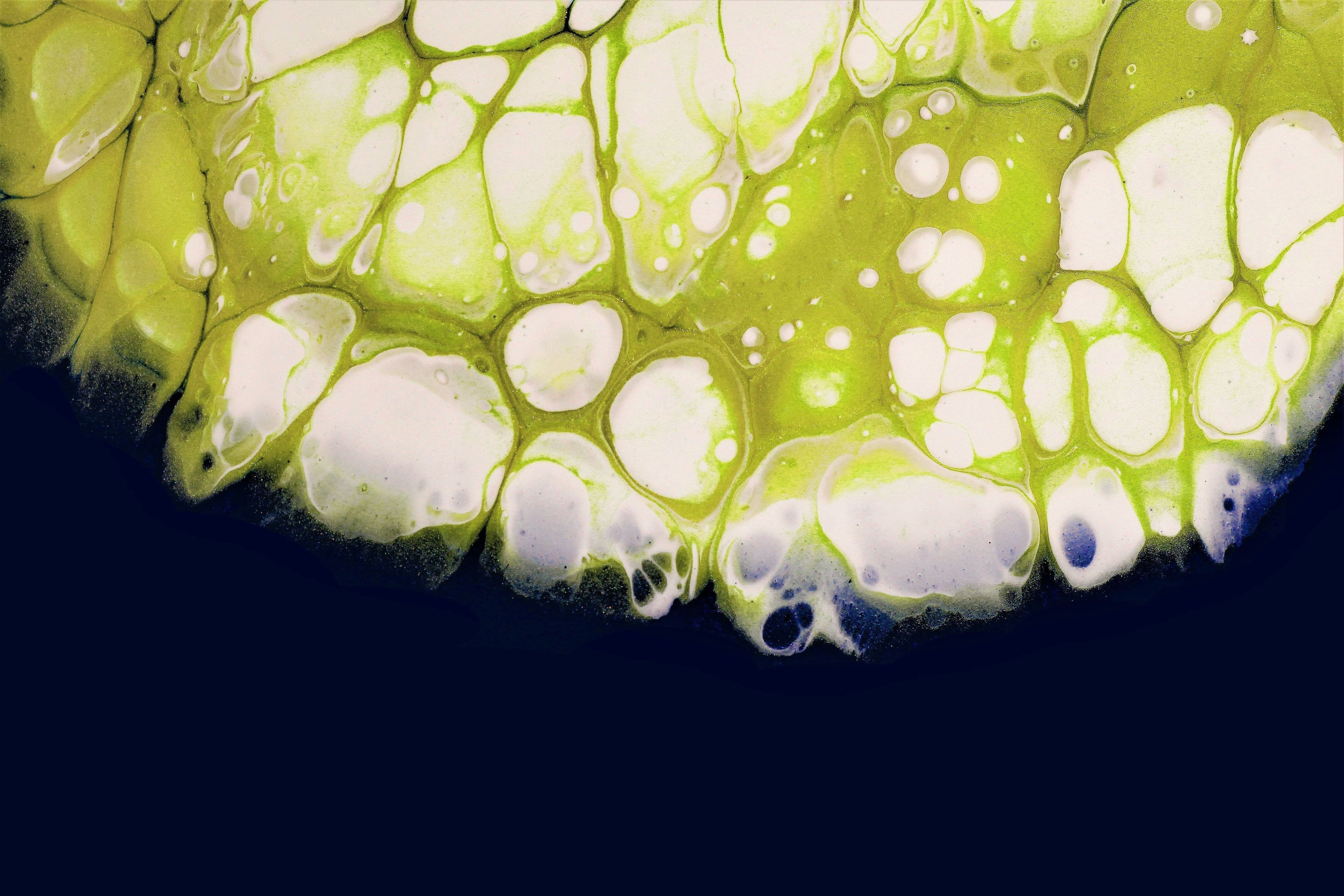 The science behind the natural reverse-aging molecule: NMN